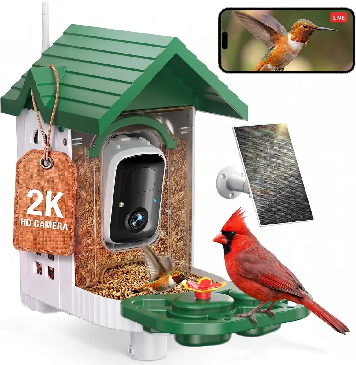 Solar-powered bird feeder with camera capturing HD video of birds at a backyard feeder with green housing and WiFi antenna visible