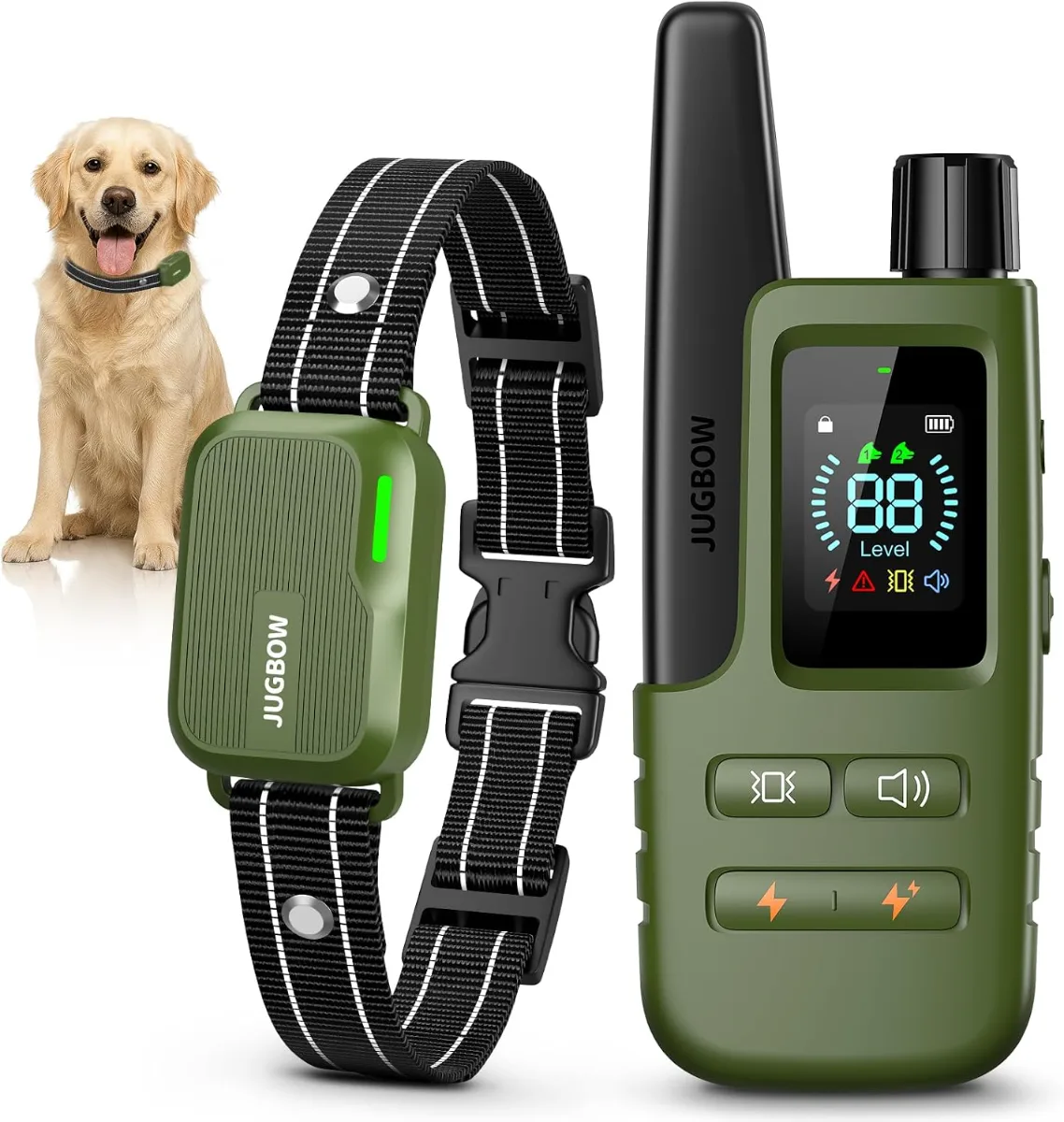Person using a Dog Shock Collar with remote to train a medium-sized dog in a backyard