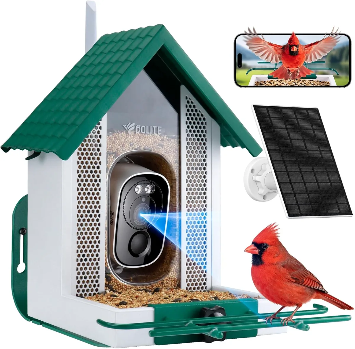 Smart Bird Feeder with Camera capturing a bird in 2.5K HD detail in a backyard setting
